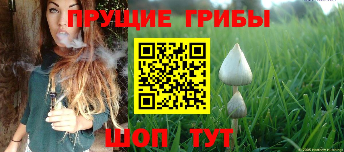 Псилоцибиновые грибы ЛСД Краснотурьинск