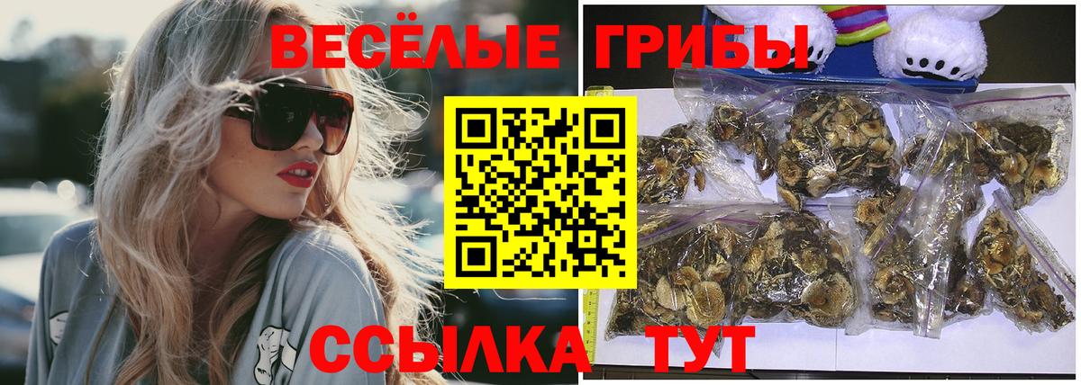 наркота  Псилоцибиновые грибы мицелий  Вход с VPN  Псилоцибиновые грибы мухоморы  Краснотурьинск 